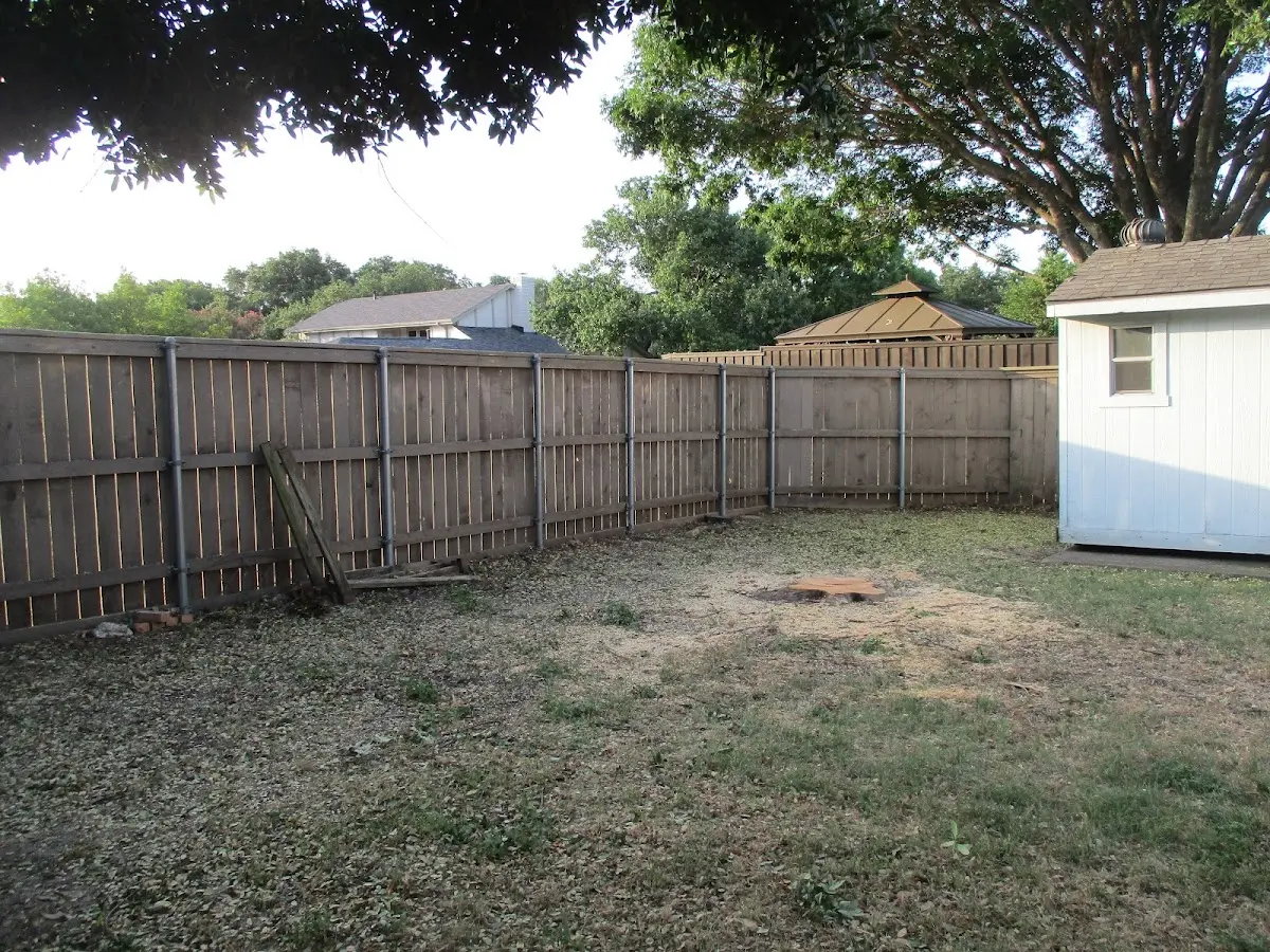 Cleared yard after professional tree removal in Chinook